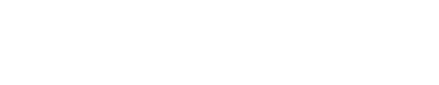 Interlink International
